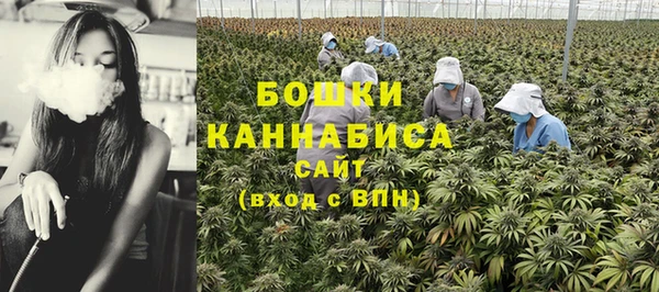 винт Богданович