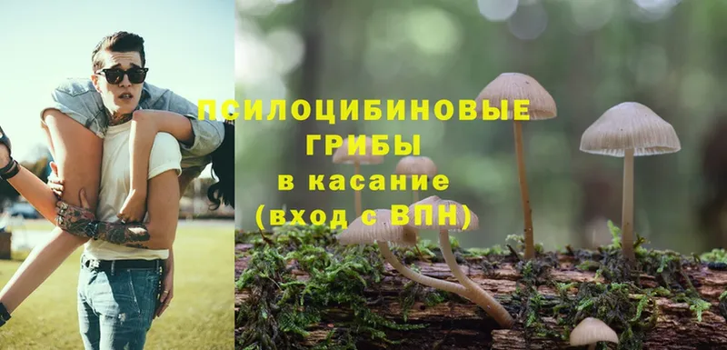 Псилоцибиновые грибы Magic Shrooms  Княгинино 